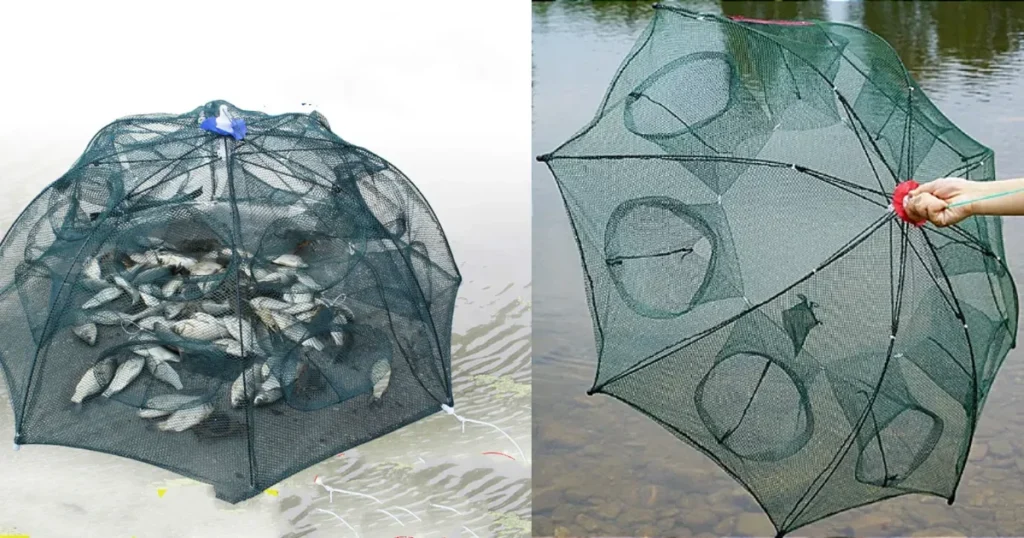 Armadilha de pesca tipo guarda-chuva em uso com captura bem-sucedida